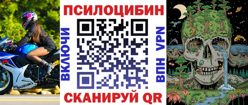 Псилоцибиновые грибы Psilocybe  Купить  Новотитаровская 